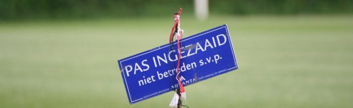 ingezaaid ingezaaid