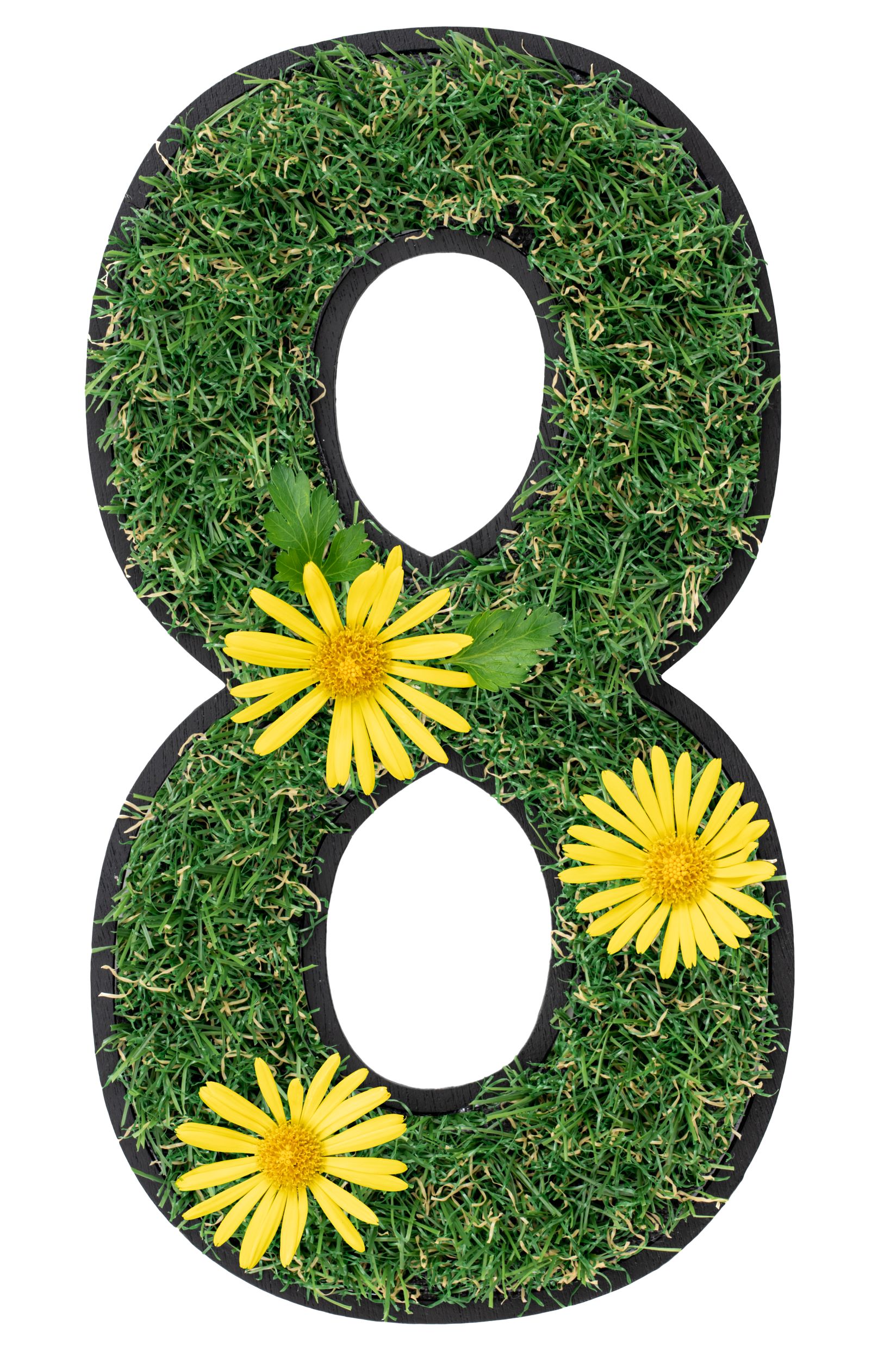 nummer-8-gemaakt-van-bloemen-en-gras-geisoleerd-op-wit