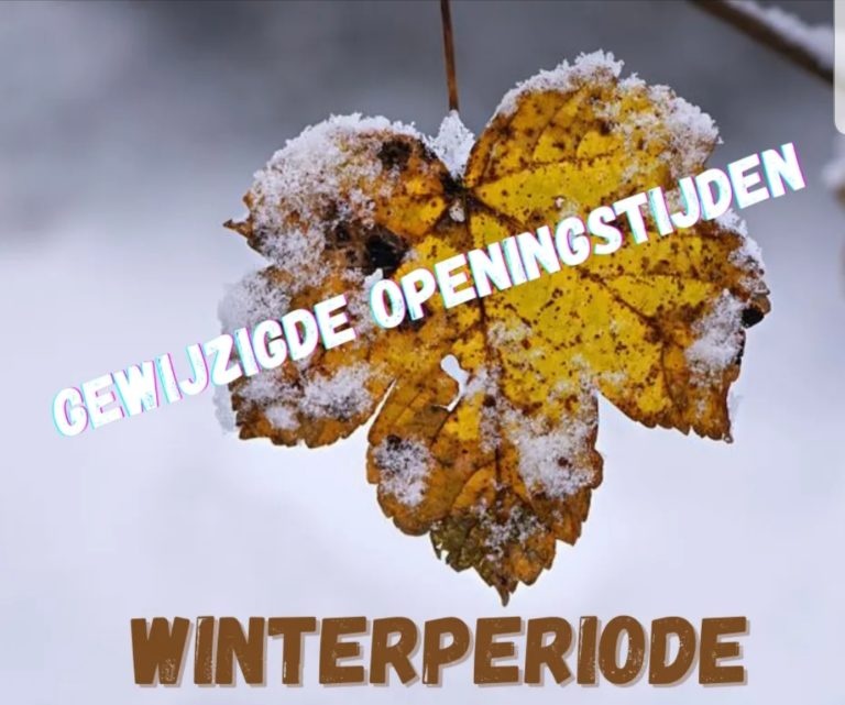 winterperiode