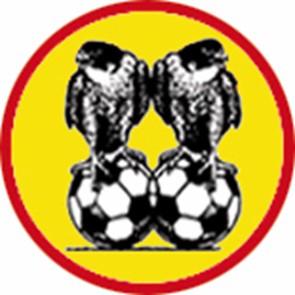 Valken68 logo